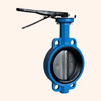 Butterfly Valve