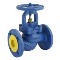 Check Safety Valve