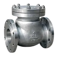 Check Valve