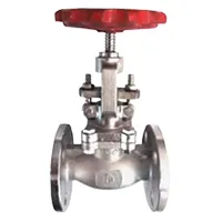 Globe Valve