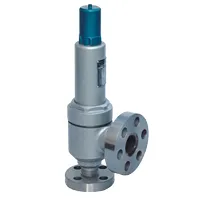 Steam Safety Valve