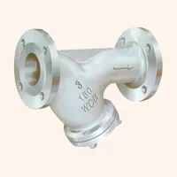 Y Strainer Valves Manufacturer in India