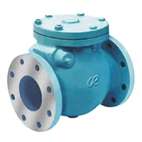Swing Check Valve