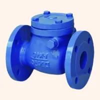 Swing Check Valves in Gujarat