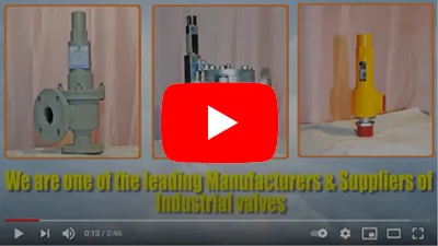 Safety Valve Manufacturer